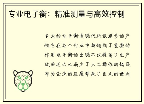 专业电子衡：精准测量与高效控制