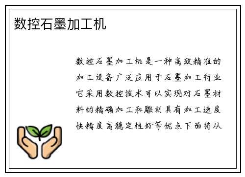 数控石墨加工机